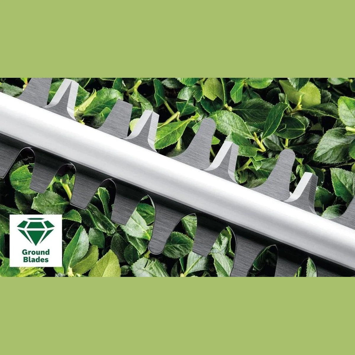 Bosch Home & Garden AdvancedHedgeCut 65, geräuschgedämpft, 500-W-Motor 2