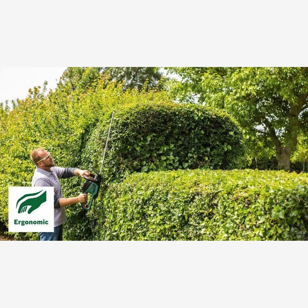 Bosch Home & Garden AdvancedHedgeCut 65, geräuschgedämpft, 500-W-Motor 3