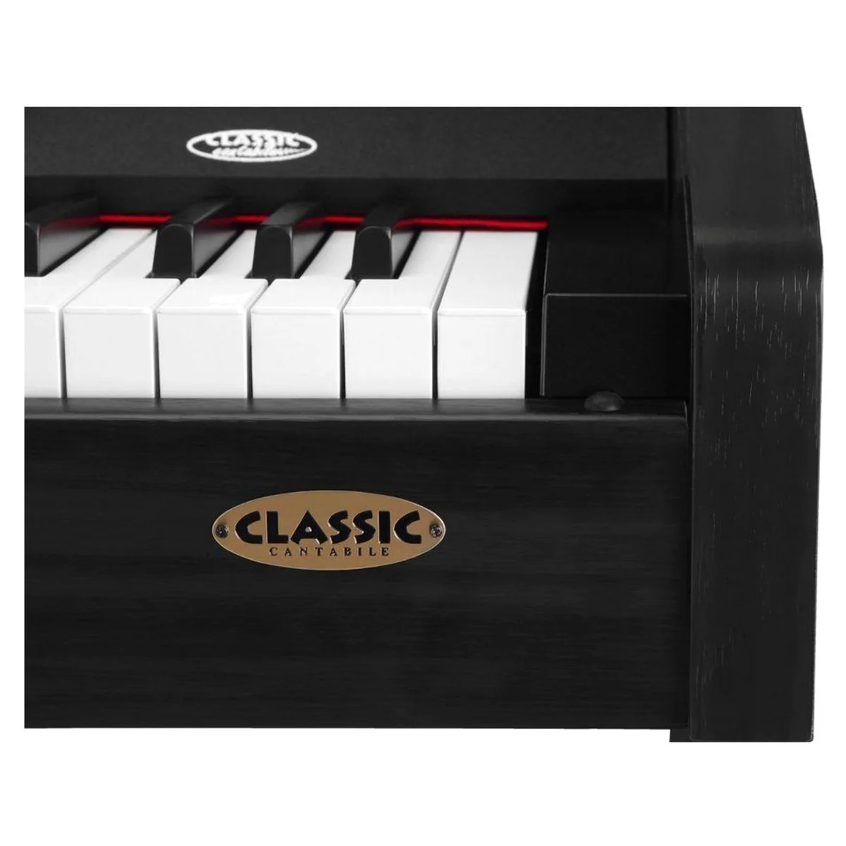Classic Cantabile DP-210 Digitalpiano, 88 Tasten Hammermechanik, Dual Mode/Split Mode, USB 5