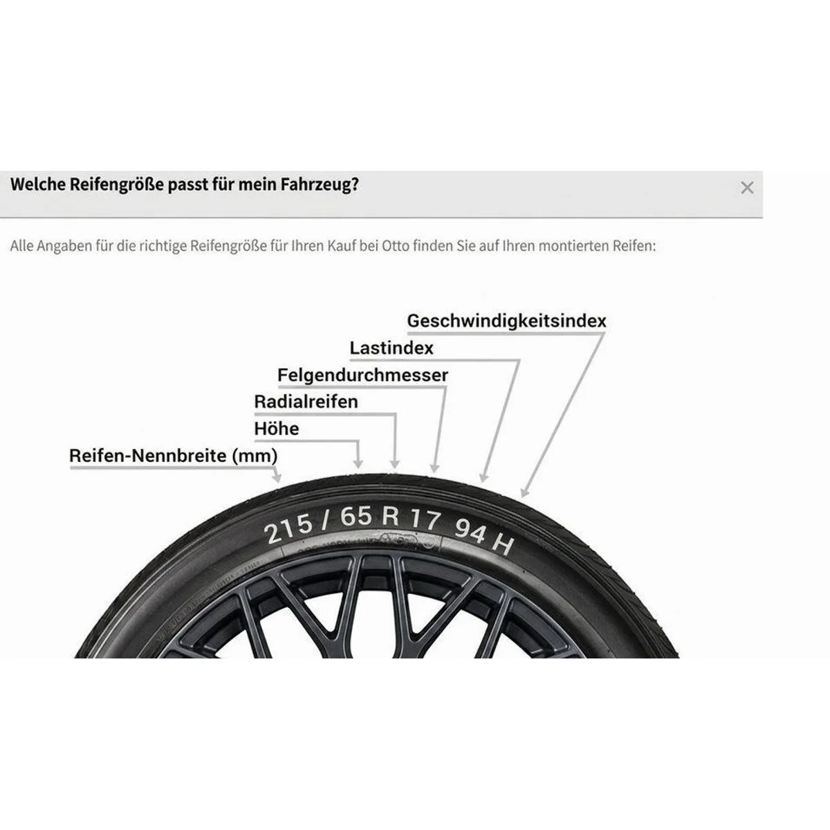 CONTINENTAL Winterreifen TS-870P, exzellente Traktion, hohe Sicherheit, optimierte Laufleistung 2