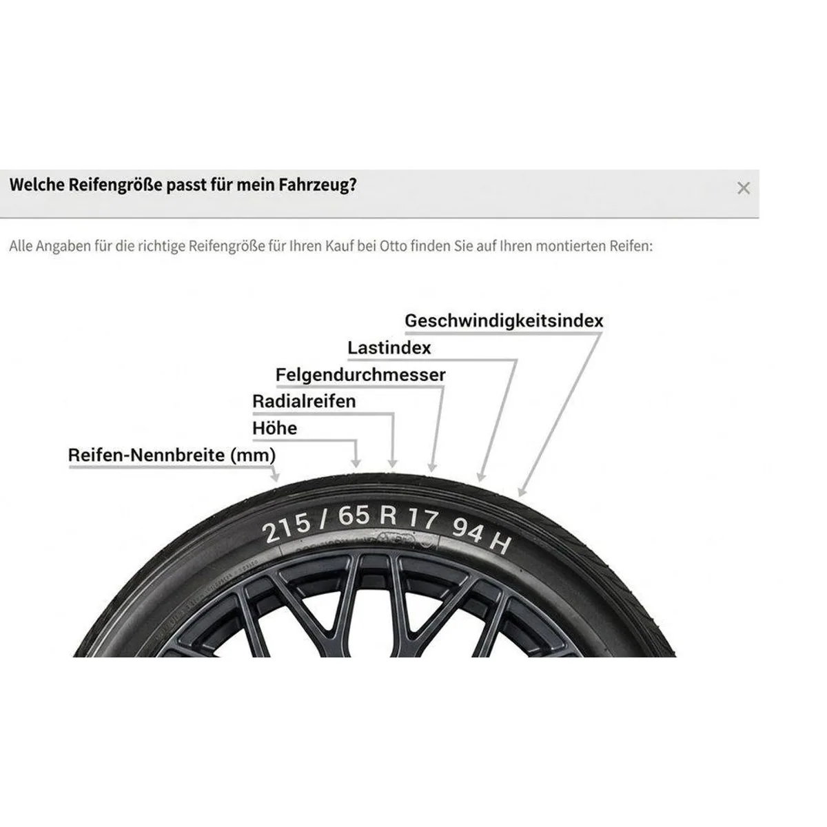 CONTINENTAL Winterreifen TS-850P, hervorragende Traktion und Bremsleistung 2