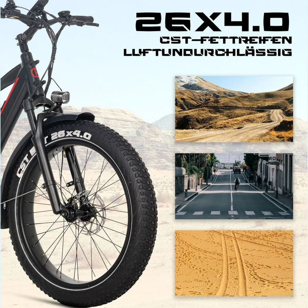 JOBOBIKE Robin Pro E-Bike, 180 km Reichweite, 80 Nm Heckmotor, Hydraulikbremsen 4