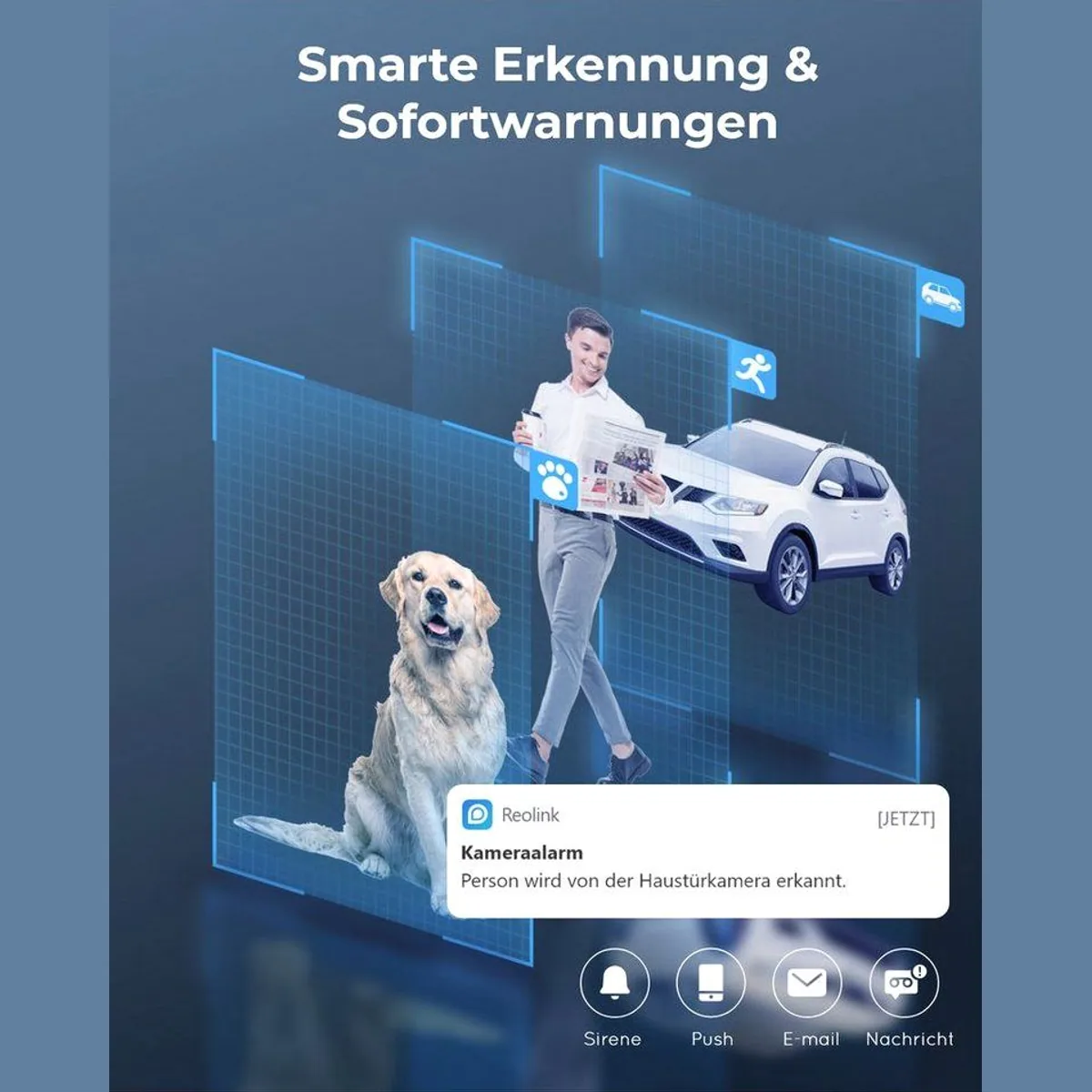 Reolink Überwachungskamera 4K WLAN System, 8MP Ultra HD, Smart-Erkennung, 12-Kanal NVR mit 2TB HDD 2