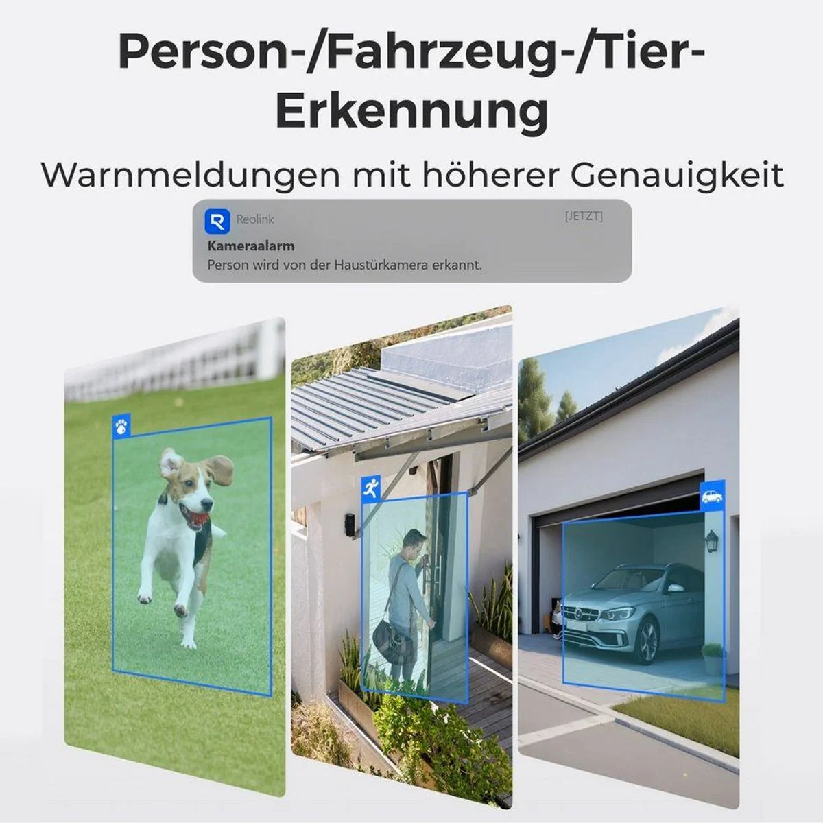 Reolink Überwachungskamera PoE 12 MP Ultra HD, Farb-Nachtsicht, 24/7 Aufzeichnung 3