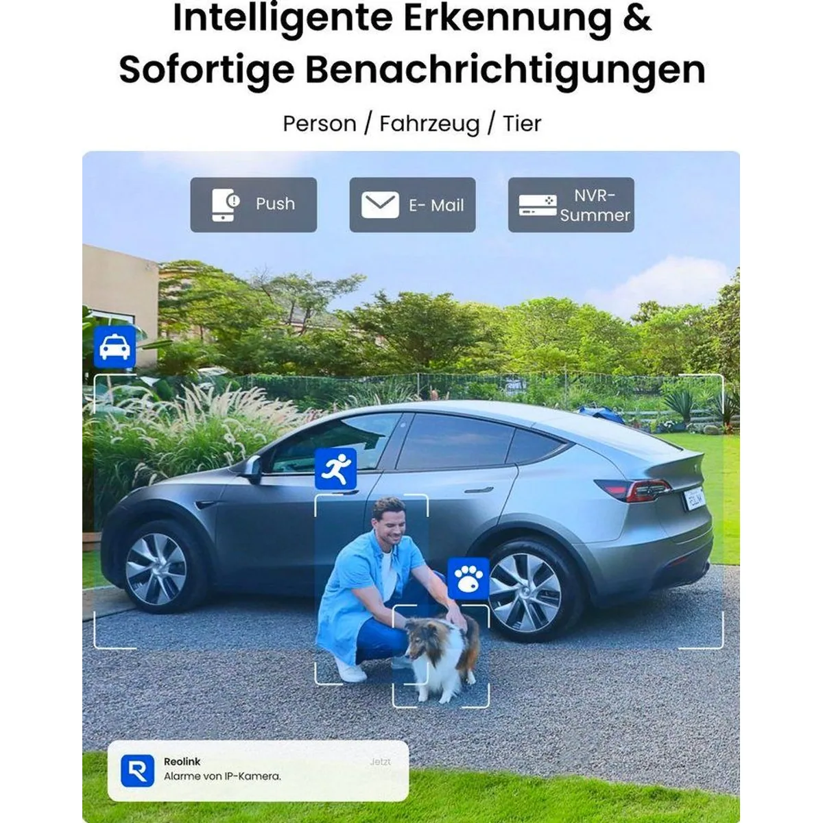 Reolink Überwachungskamera 8MP 4K PoE, intelligente Erkennung, 24/7 Videoüberwachung 2