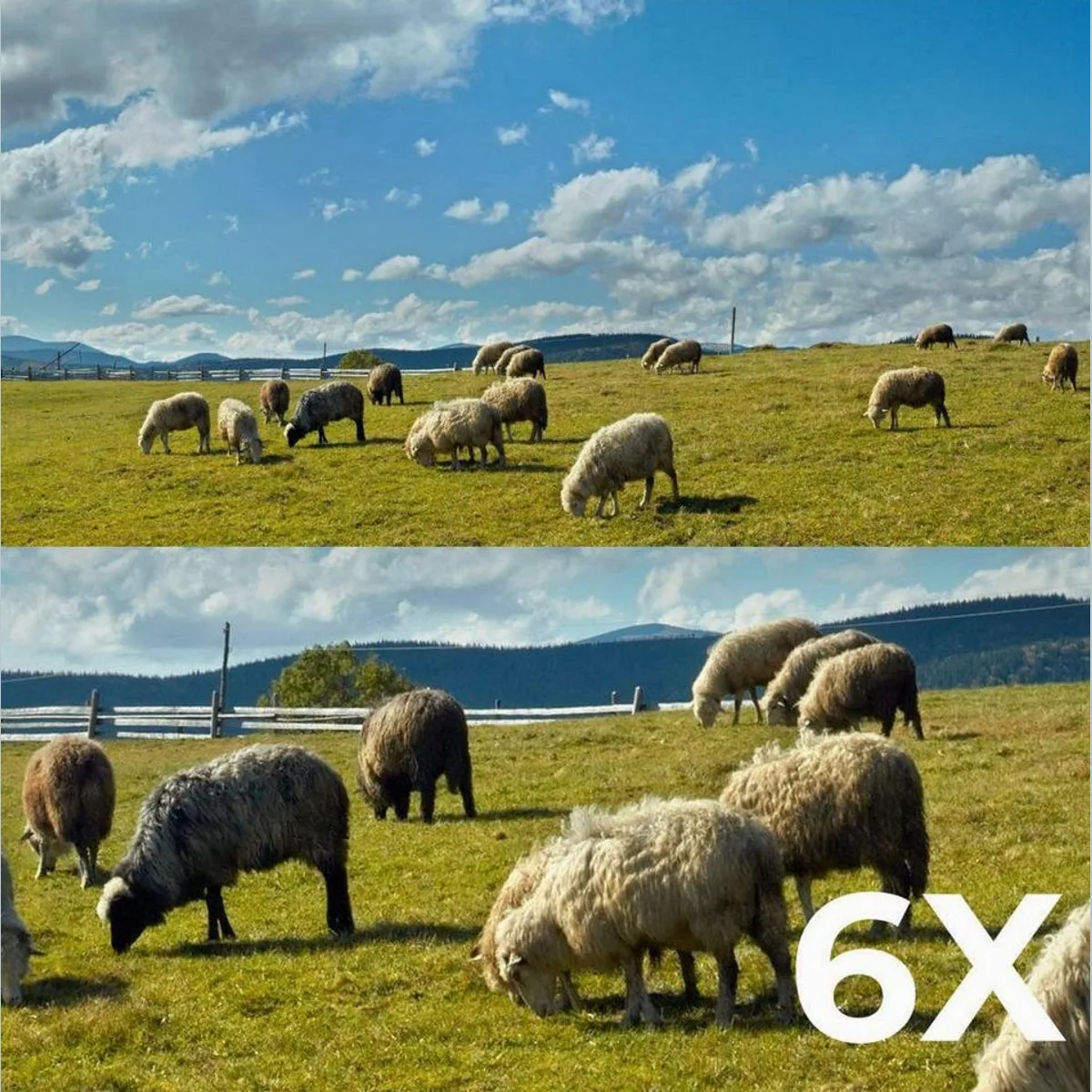 Reolink Trackmix G770 4K, kabellos, 4G LTE, PTZ-Funktion — hohe Bildqualität, Nachtsicht, 2-Wege-Audio 5