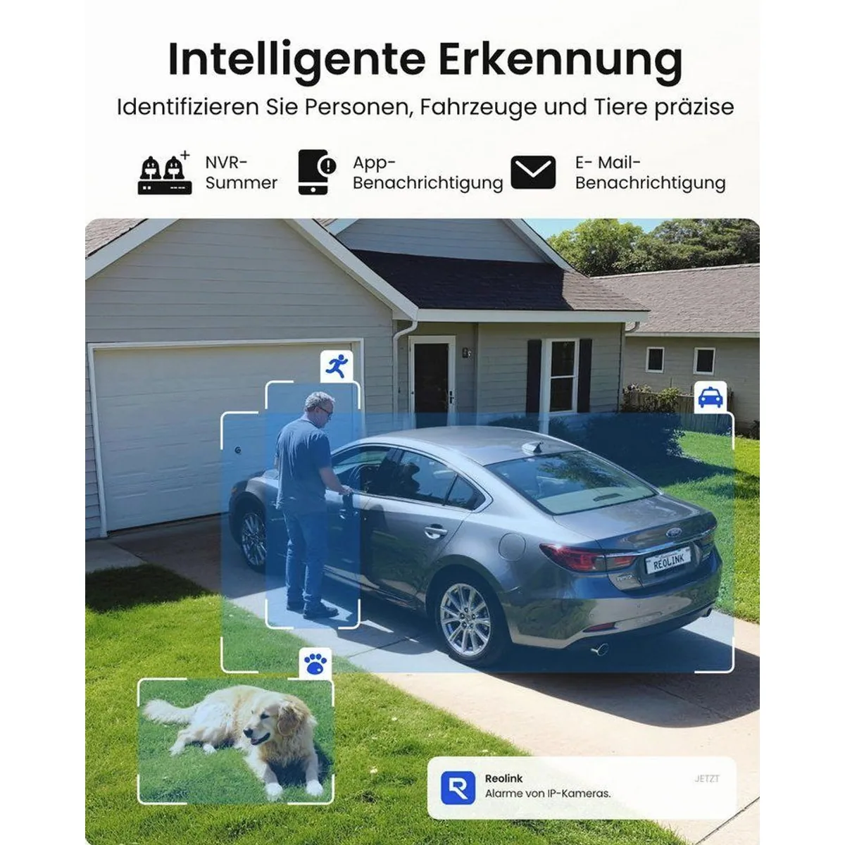 Reolink RLN8-410 NVR, 24/7 Videoaufzeichnung, erweiterbarer Speicher, PoE-Technologie 5