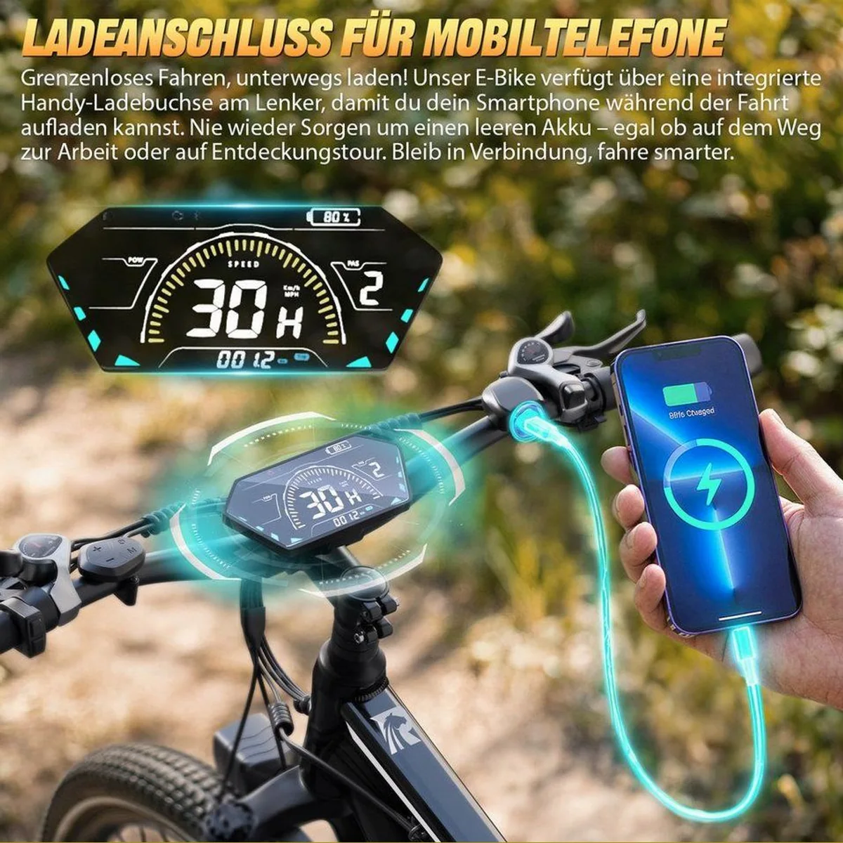 Rincc RN50 E-Bike 29", hohe Reichweite, 21-Gang-Schaltung 3