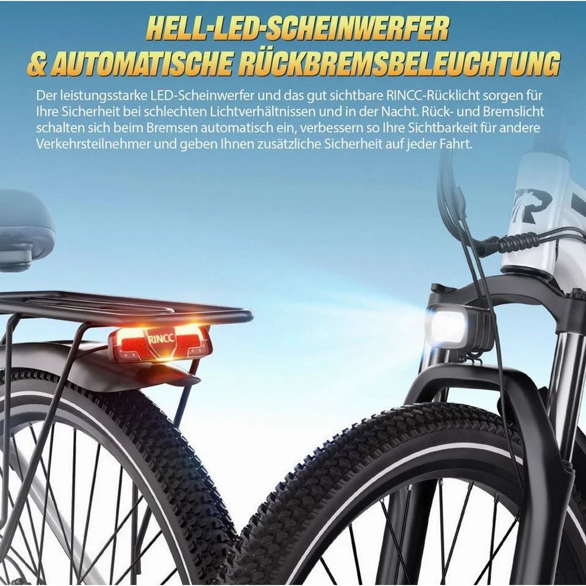 Rincc RN50 E-Bike 29", hohe Reichweite, 21-Gang-Schaltung 4