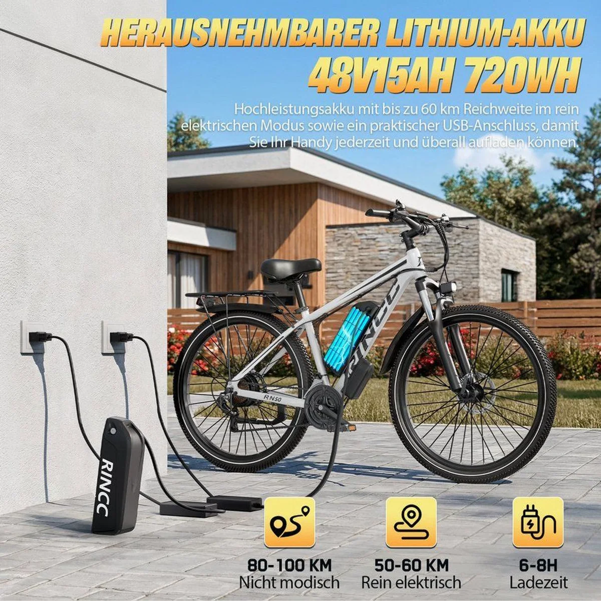 Rincc RN50 E-Bike 29", hohe Reichweite, 21-Gang-Schaltung 5