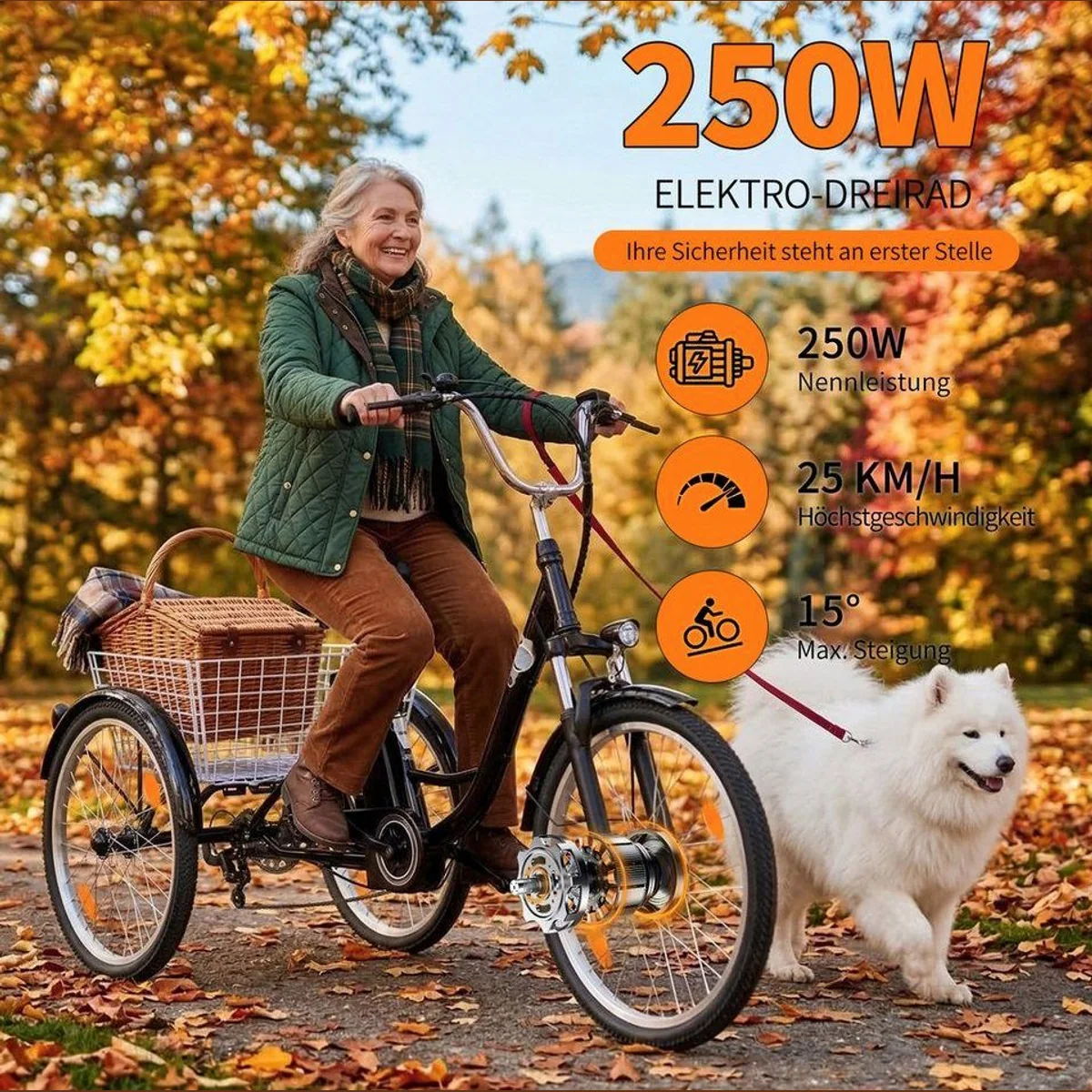 Vankel M300 Elektro-Dreirad, 250W Motor, 540Wh Akku, 120 kg Traglast 2