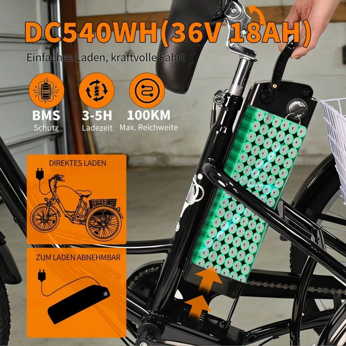 Vankel M300 Elektro-Dreirad, 250W Motor, 540Wh Akku, 120 kg Traglast 3