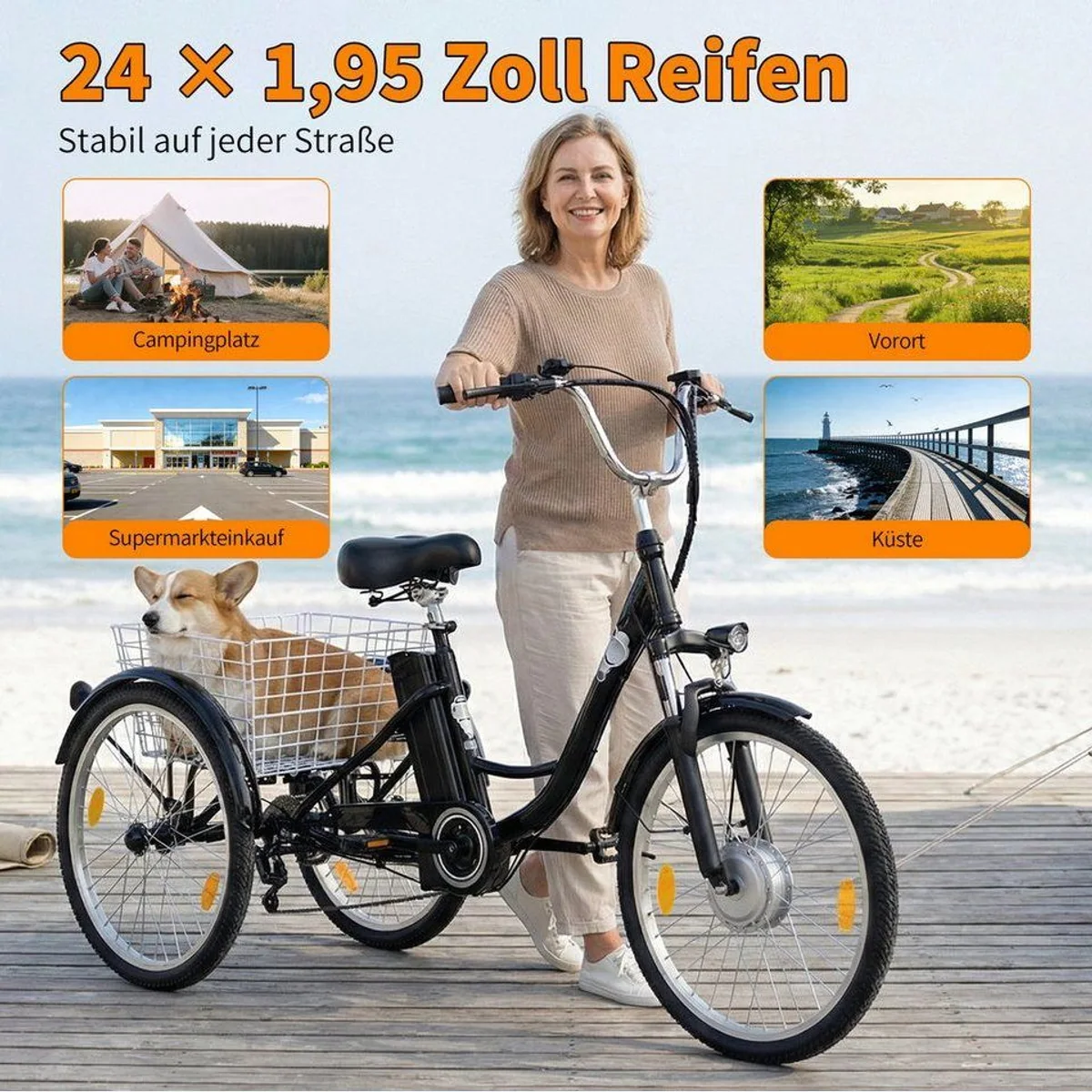 Vankel M300 Elektro-Dreirad, 250W Motor, 540Wh Akku, 120 kg Traglast 5