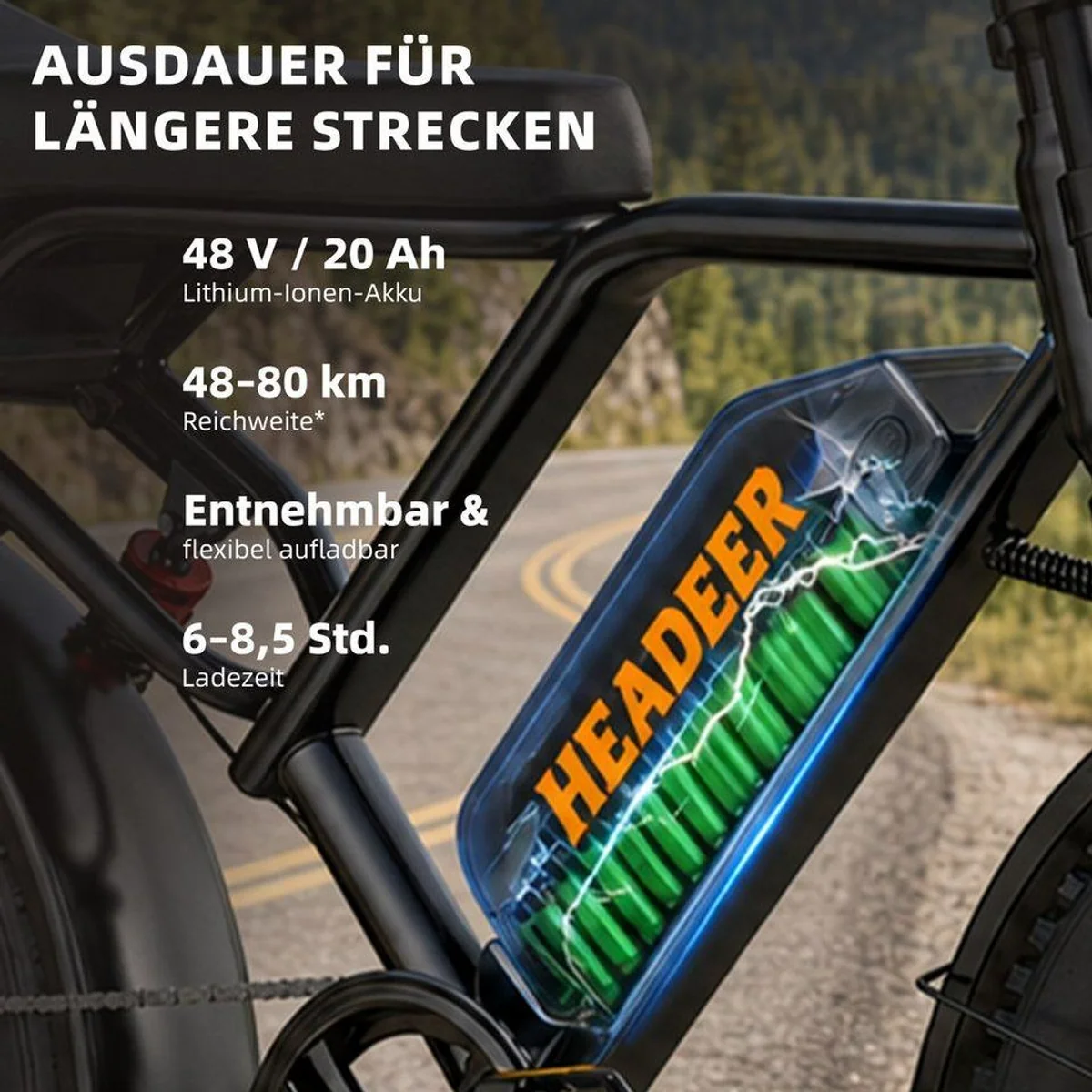 WHEELYOU E-Fatbike bk20, 250W Motor, 960Wh Akku, 20 Zoll Reifen, Vollfederung 4