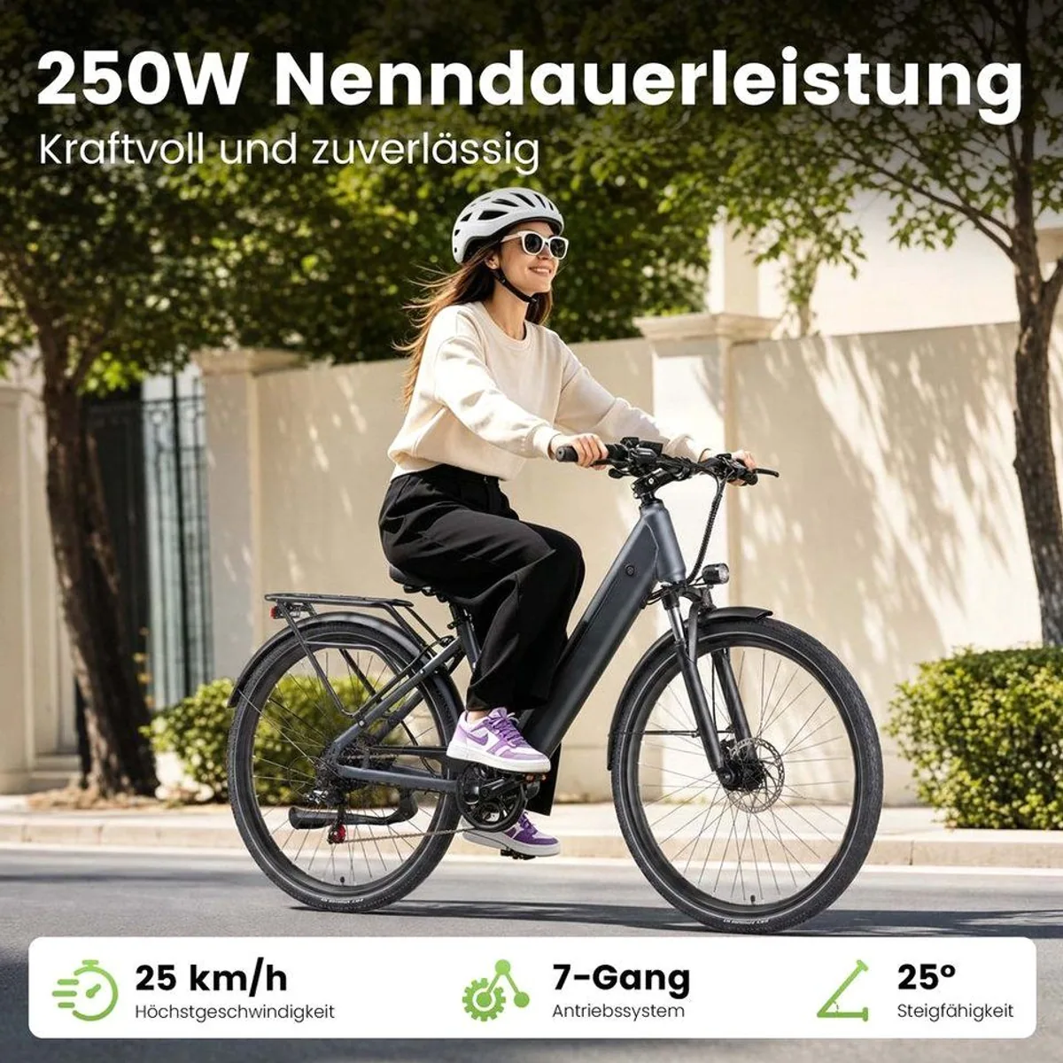 ZWHEEL City E-Bike, 250W Motor, 48V Akku, 140 km Reichweite 4